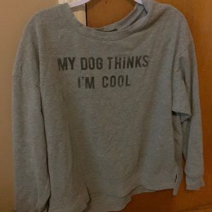Grey light weight hoodie, XL from fifth sun